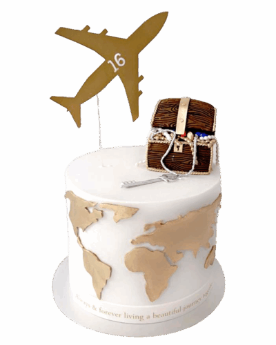 Travel Cake 4
