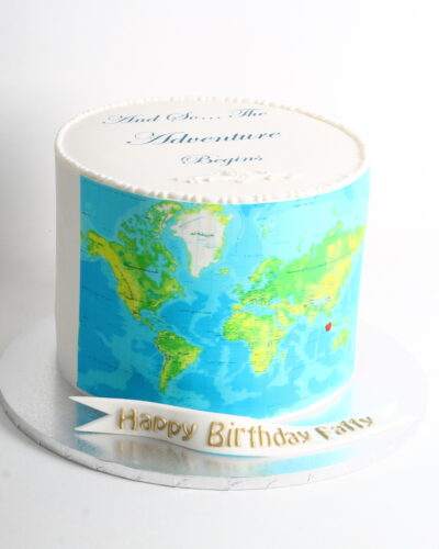 Travel Cake 9