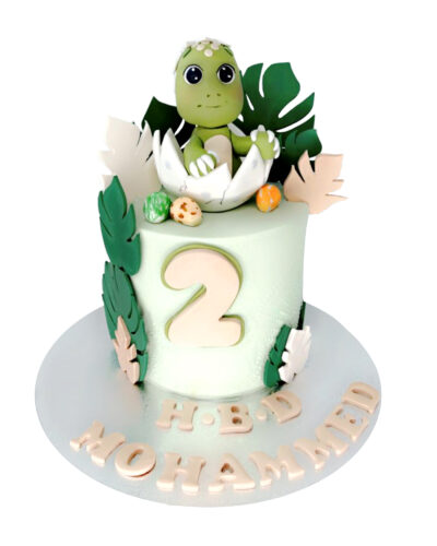 Baby Cake 19