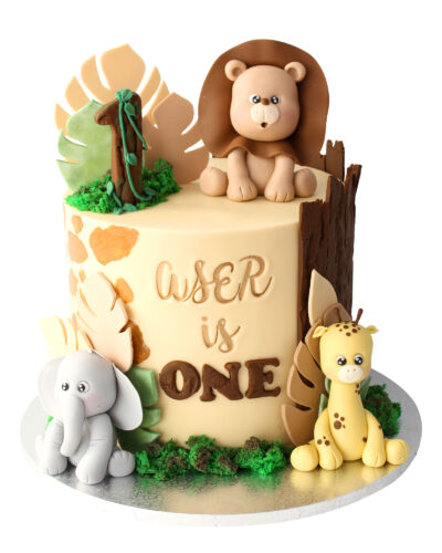 Baby Cake 23