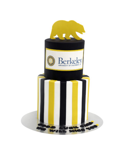 Graduation Cake 35