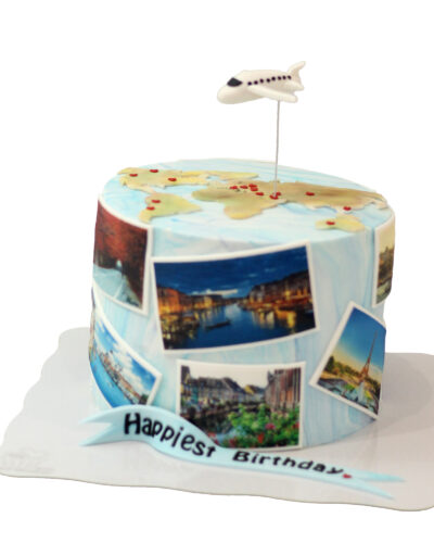 Travel Cake 7