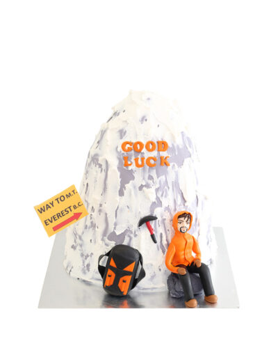 Men's Birthday Cake 20