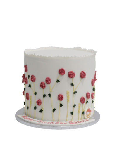 Girls birthday Cake 48